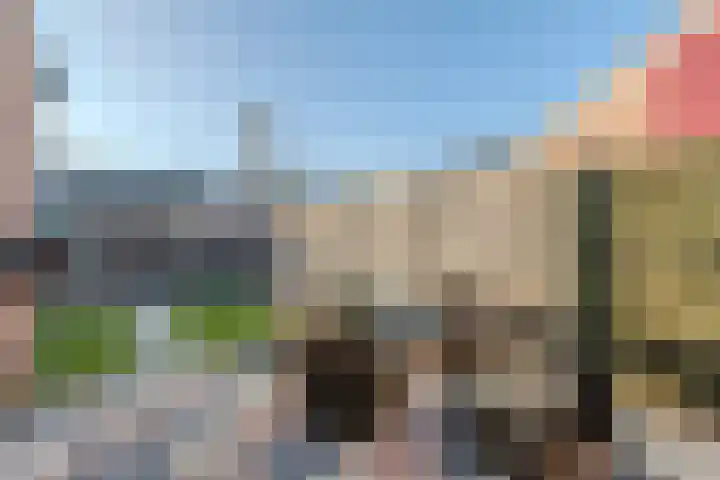 Kamille 47 Culemborg thumbnail 35