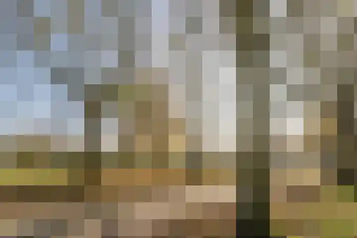 Kamille 47 Culemborg thumbnail 39