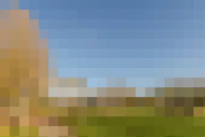Kamille 47 Culemborg thumbnail 41