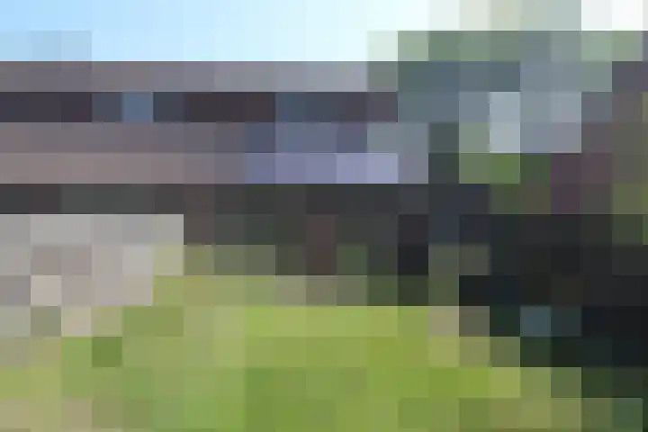 Kamille 6 Raalte thumbnail 17