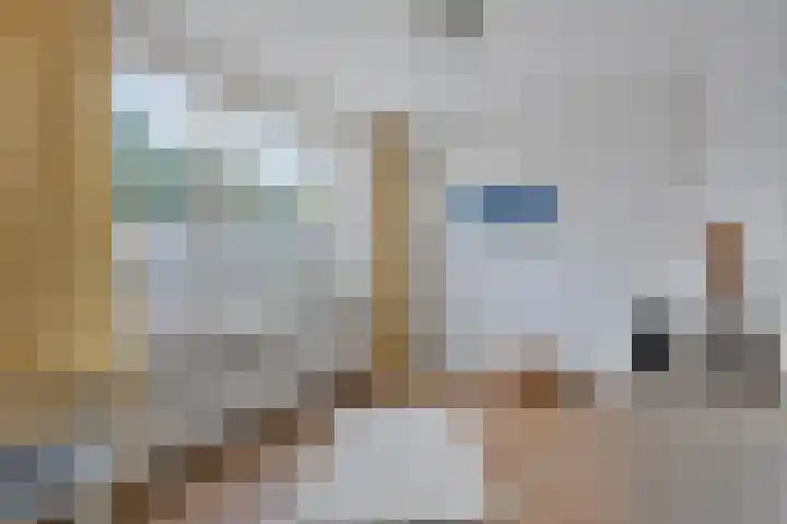 Kamillehof 7 Tilburg thumbnail 24