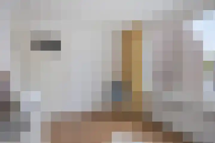 Kamillehof 7 Tilburg thumbnail 25