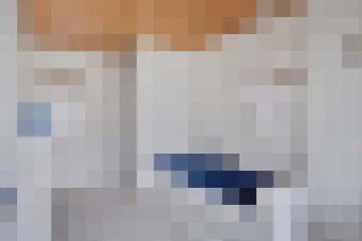 Kamillehof 7 Tilburg thumbnail 27