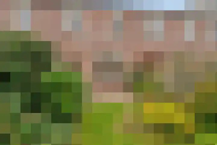 Kamp 10 10 24 Lelystad thumbnail 21