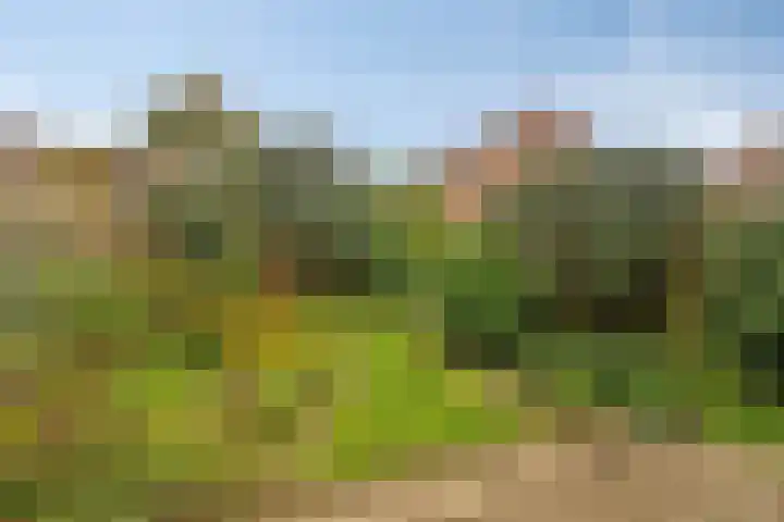 Kamp 10 10 24 Lelystad thumbnail 22