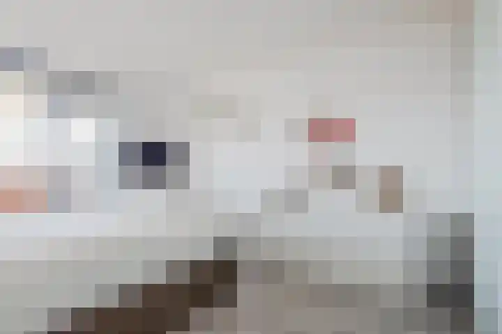 Kamp 11 11 31 Lelystad thumbnail 23