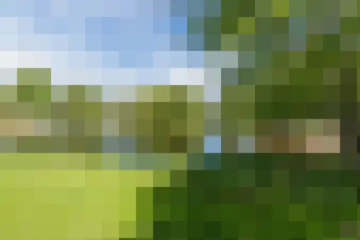 Kamp 11 11 31 Lelystad thumbnail 52