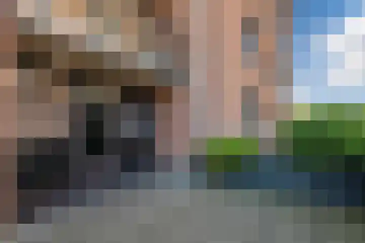 Kamp 11 11 31 Lelystad thumbnail 8