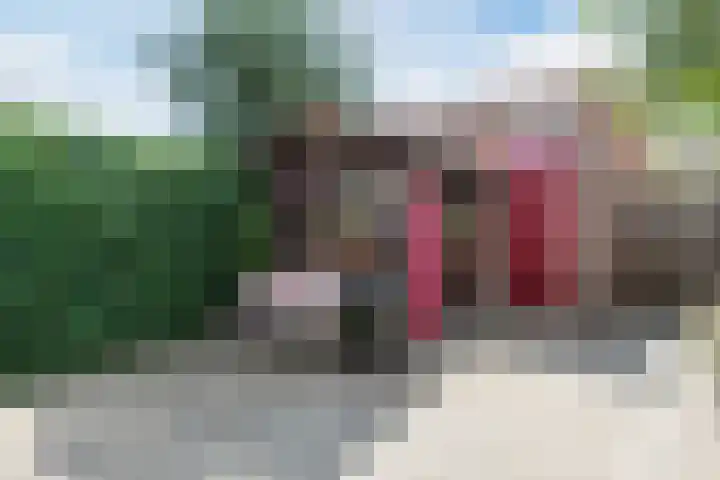 Kamp 12 12 24 Lelystad thumbnail 37