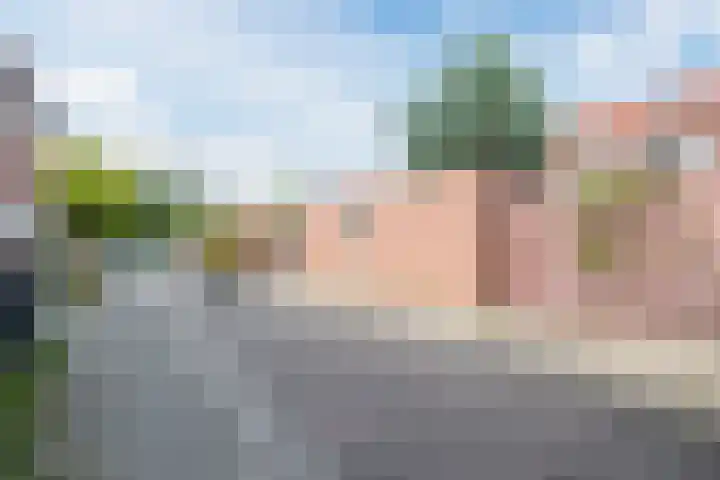 Kamp 12 12 24 Lelystad thumbnail 41