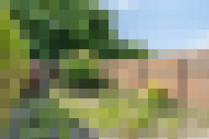 Kamp 20 20 14 Lelystad thumbnail 23