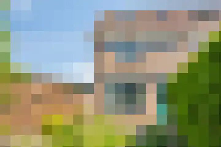 Kamp 20 20 14 Lelystad thumbnail 24