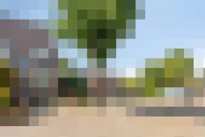 Kamp 20 20 14 Lelystad thumbnail 26