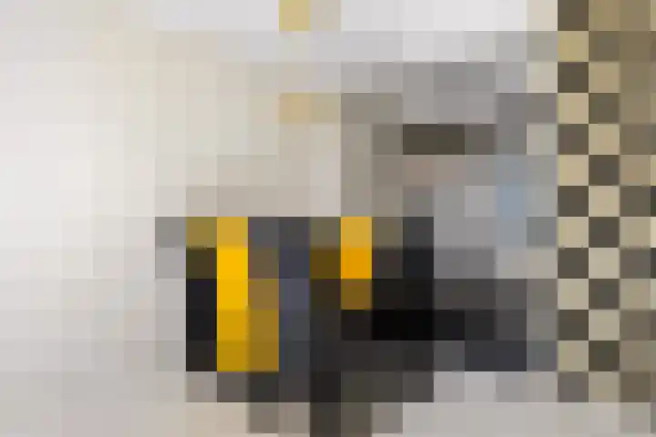 Kamp 20 20 18 Lelystad thumbnail 10