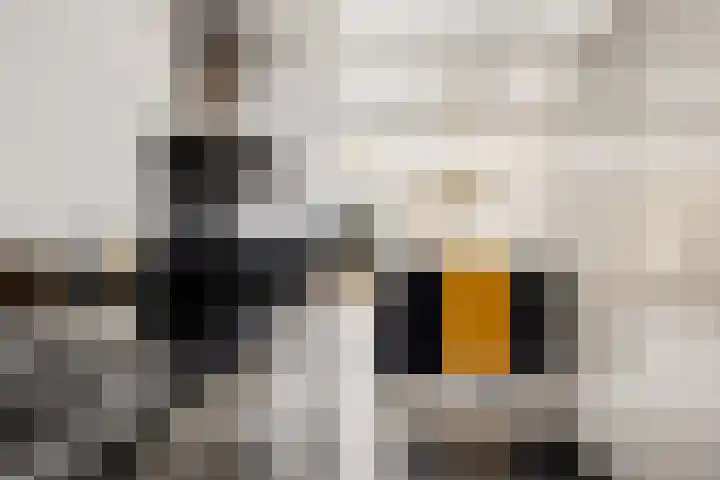 Kamp 20 20 18 Lelystad thumbnail 13