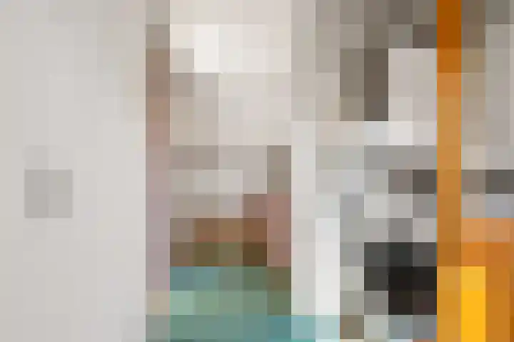 Kamp 20 20 18 Lelystad thumbnail 26