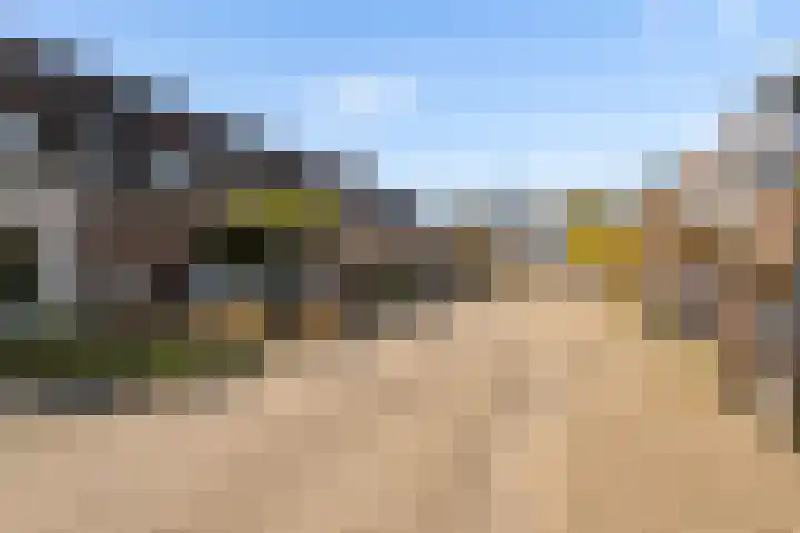 Kamp 20 20 18 Lelystad thumbnail 39
