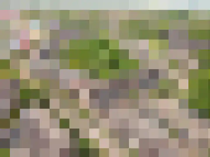 Kamp 26 26 62 Lelystad thumbnail 43