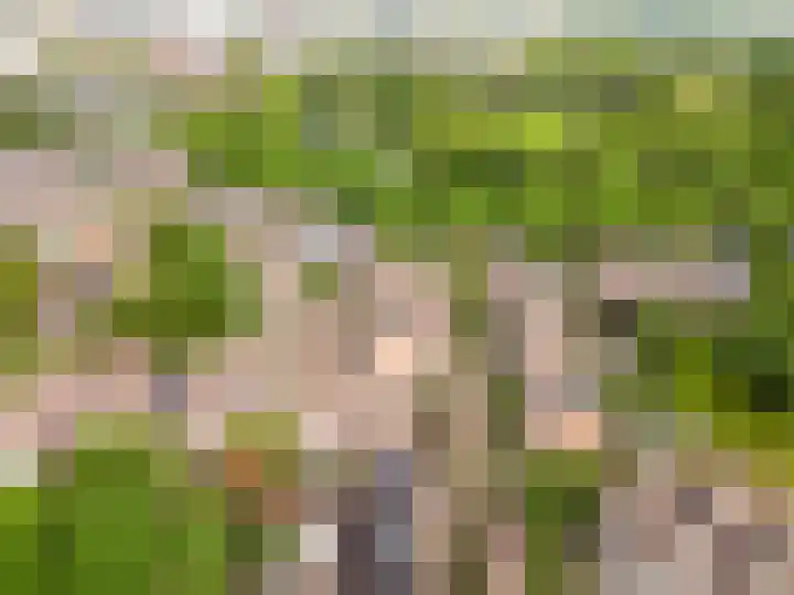 Kamp 26 26 62 Lelystad thumbnail 44