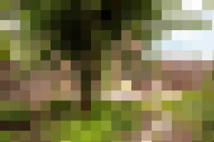 Kamp 27 27 1 Lelystad thumbnail 27