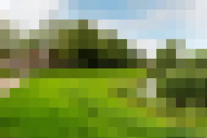 Kamp 27 27 1 Lelystad thumbnail 35