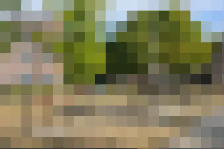 Kampdijklaan 23 Vught thumbnail 41