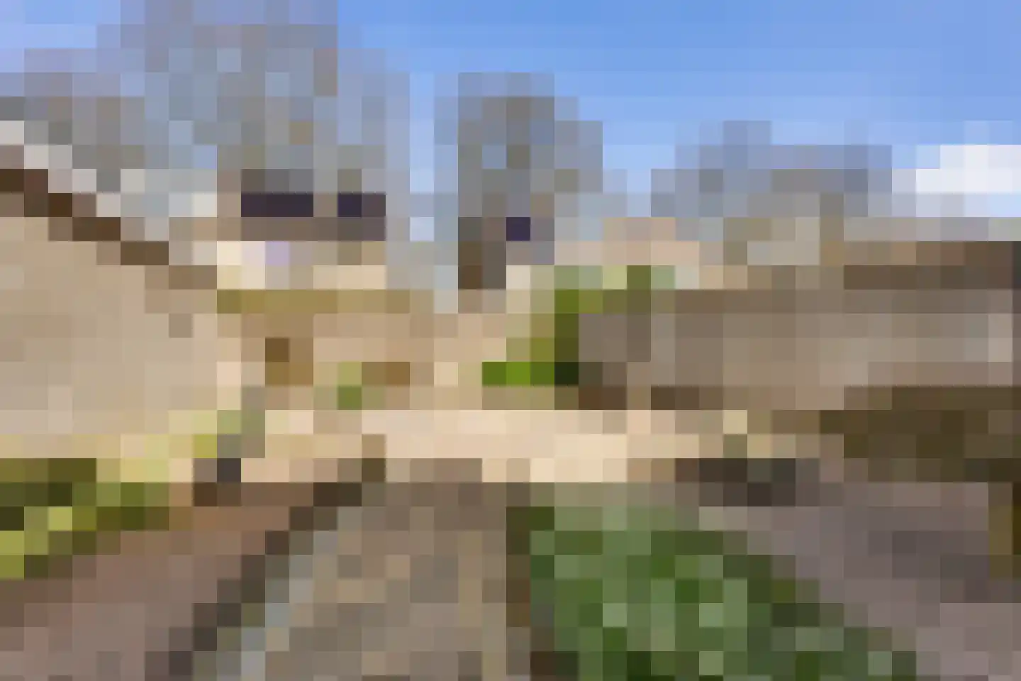 Kampenhout 8 Vught thumbnail 18
