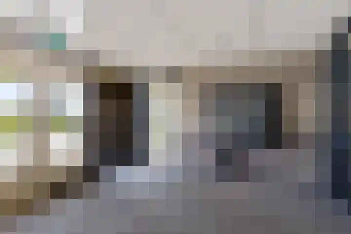 Kamperdijk 64 Genemuiden thumbnail 13