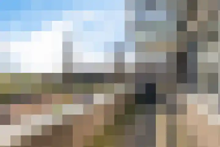 Kamperdijk 64 Genemuiden thumbnail 34