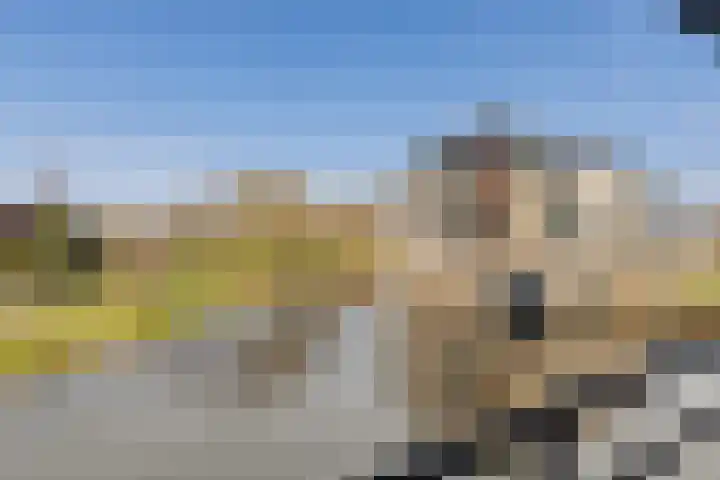 Kamperdijk 64 Genemuiden thumbnail 35