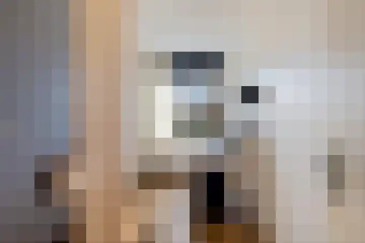 Kamperdijk 64 Genemuiden thumbnail 41