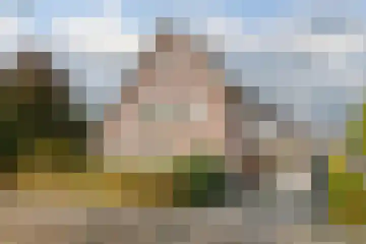 Kamperfoelie 11 Leek thumbnail 15