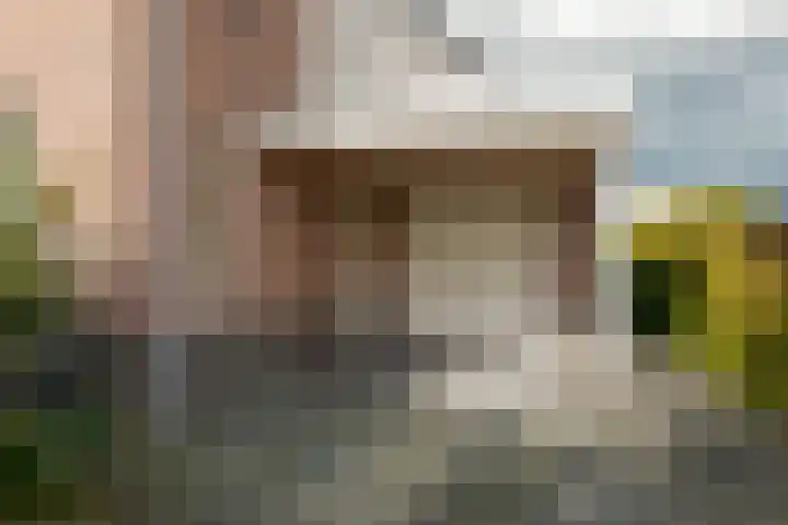 Kamperfoelie 11 Leek thumbnail 17