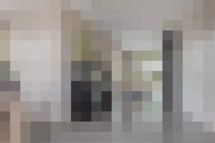 Kamperfoelie 11 Leek thumbnail 25