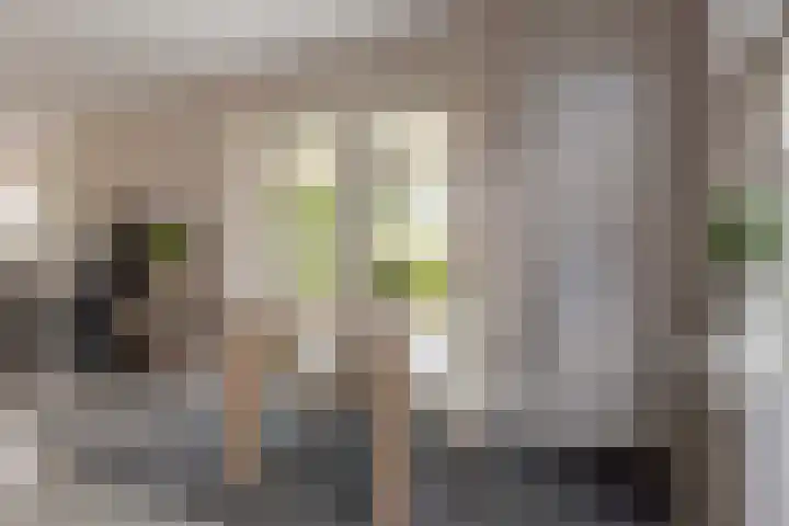 Kamperfoelie 11 Leek thumbnail 26