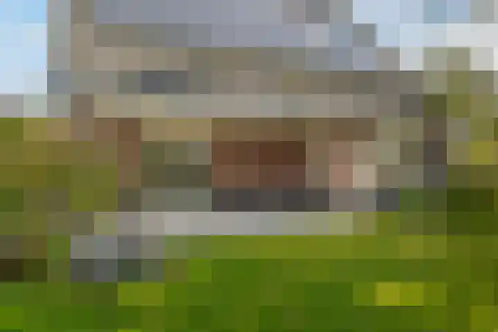 Kamperfoelie 11 Leek thumbnail 30