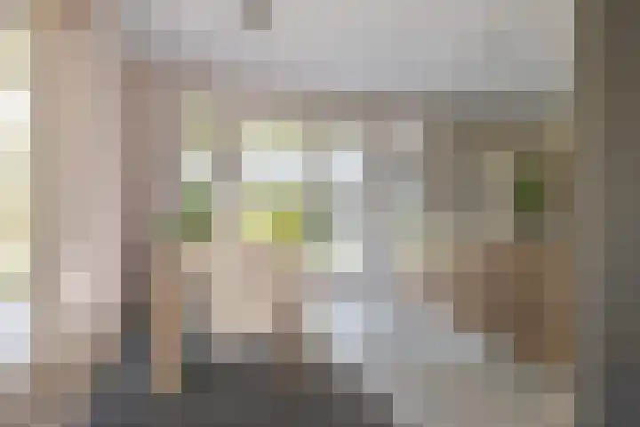 Kamperfoelie 11 Leek thumbnail 38