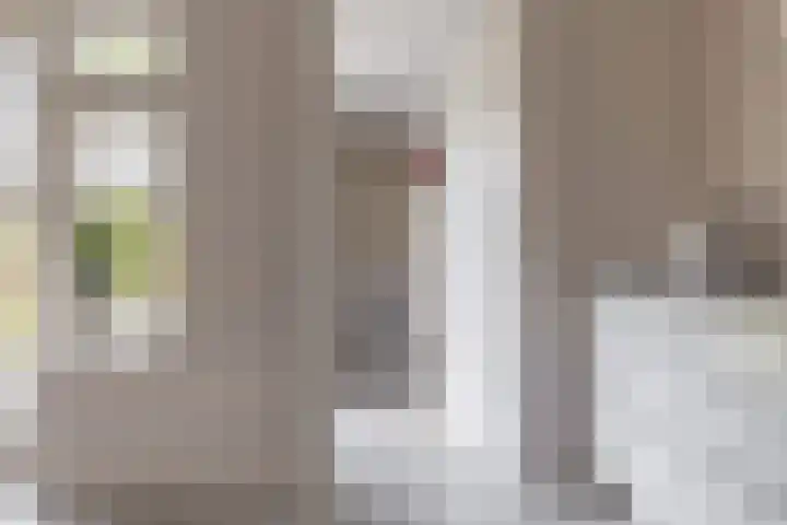 Kamperfoelie 11 Leek thumbnail 41