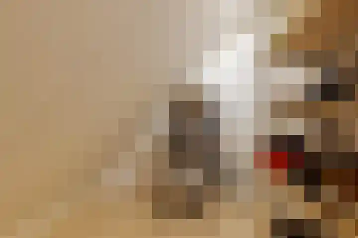 Kamperfoelie 11 Leek thumbnail 49