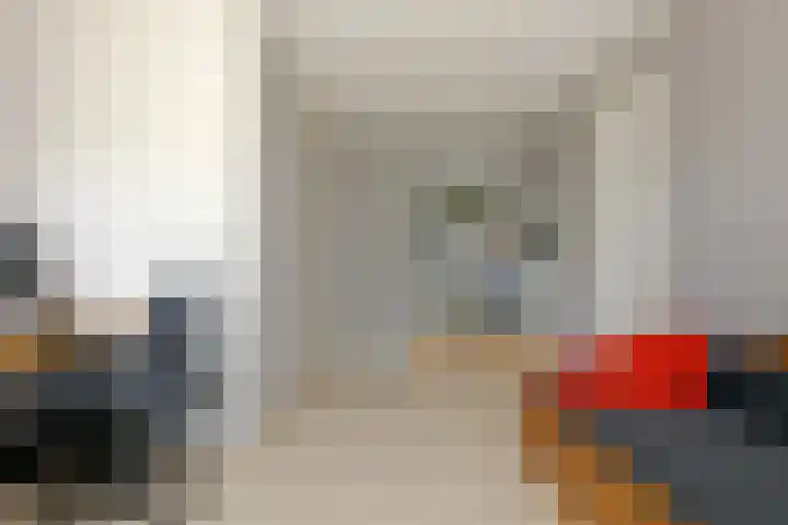 Kamperfoelie 11 Leek thumbnail 53
