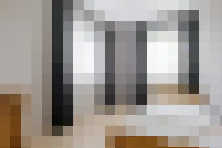 Kamperfoelie 11 Leek thumbnail 55