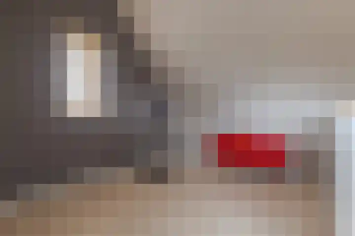 Kamperfoelie 11 Leek thumbnail 59