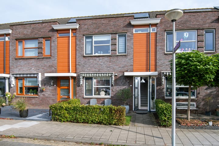 Kamperfoelie 16 in Brandwijk foto