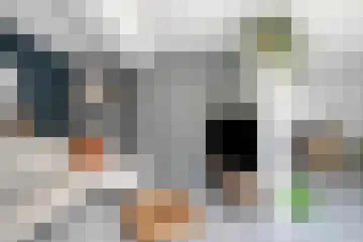Kamperfoelie 39 Cuijk thumbnail 10