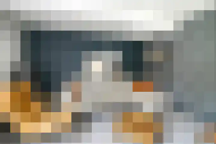 Kamperfoelie 39 Cuijk thumbnail 11