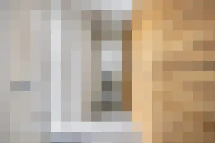 Kamperfoelie 39 Cuijk thumbnail 12