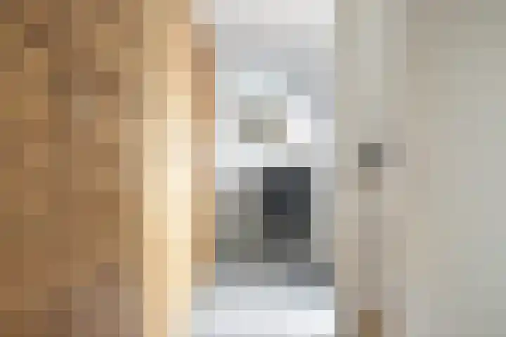 Kamperfoelie 39 Cuijk thumbnail 13