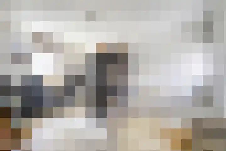 Kamperfoelie 39 Cuijk thumbnail 19