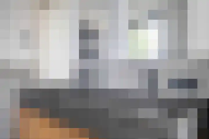 Kamperfoelie 39 Cuijk thumbnail 26