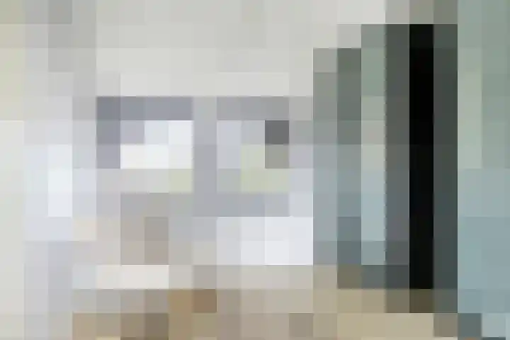 Kamperfoelie 39 Cuijk thumbnail 32